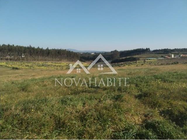 Lourinhã Lourinhã LS101432905