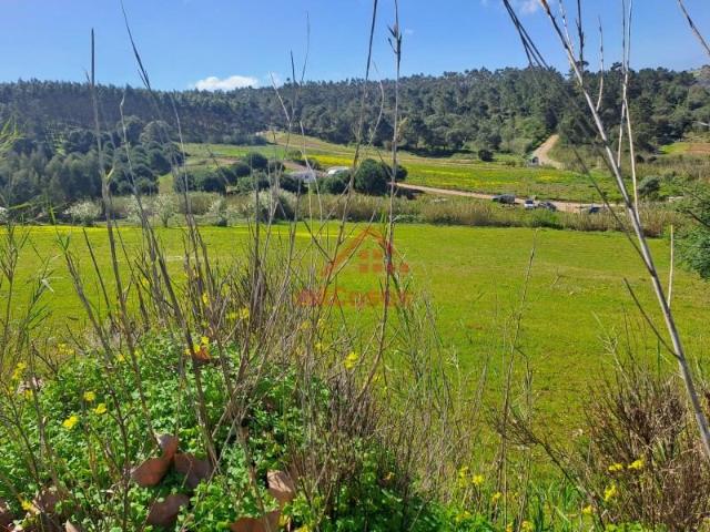 Lourinhã Lourinhã LS101064006