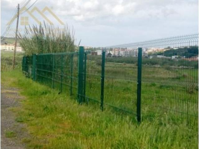 Lourinhã Lourinhã LS101225313