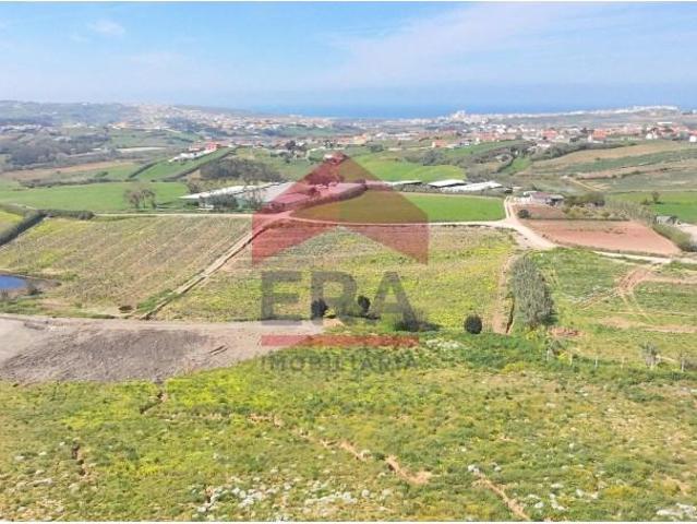 Lourinhã Lourinhã LS102074200