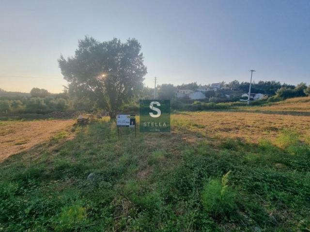 Lousã Lousã 92581645