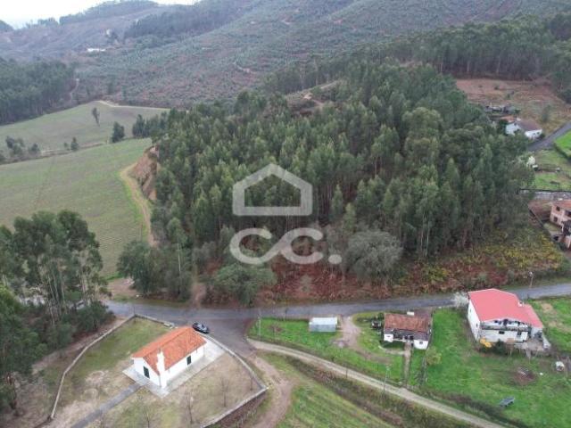 Lousada Porto LS72086317