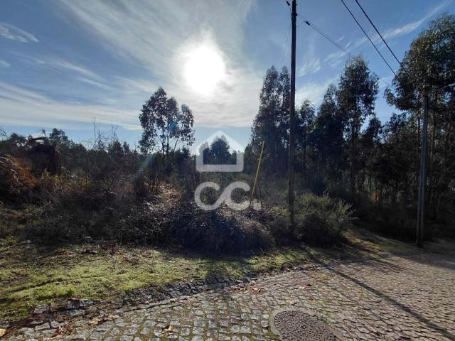 Lousada Porto LS96615414