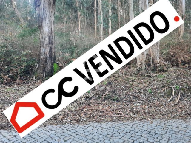 Lousada Porto LS98100859