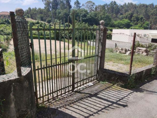 Lousada Porto 103579702