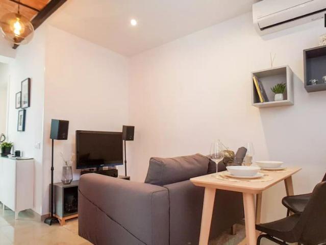 Lovely 1 bedroom apartment for rent in El Raval