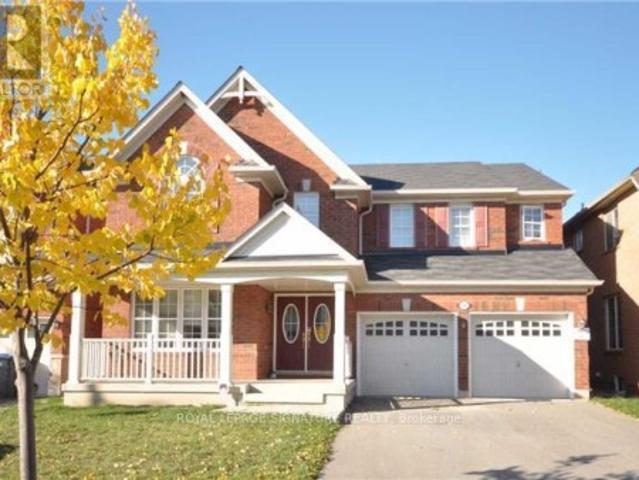 Lower 10 Bonavista Drive, Brampton, ON, L6X 0N2 house for lease | Listing ID W13634 | Royal LePage