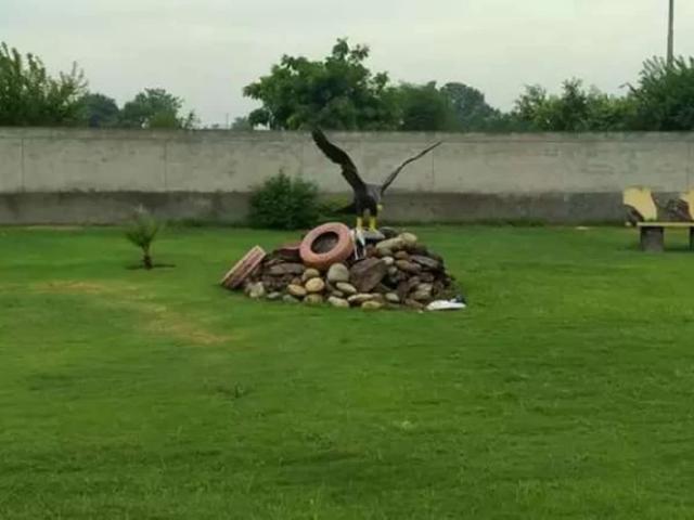 Lower canal road Faisalabad ID 66604