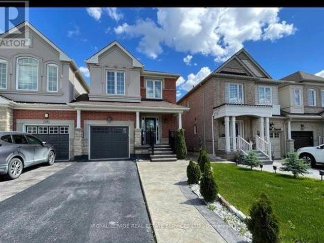 Lower Level 16 Napoleon Crescent, Brampton, ON, L6P 3K5 house for lease | Listing ID W13518 | Royal LePage