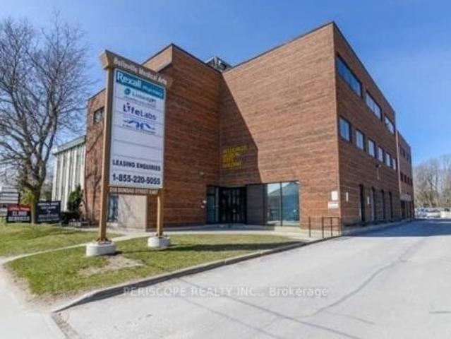 Lower Level 210 Dundas Street E