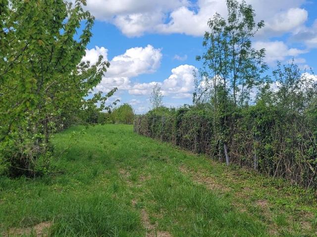 Lozay Vente Terrain 17
