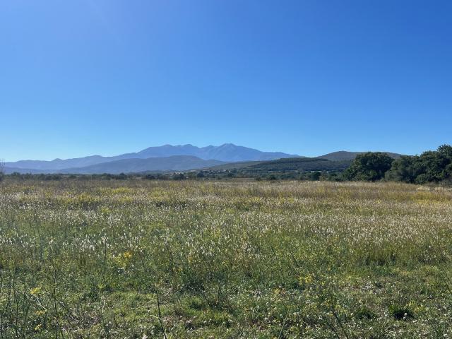 Llupia Vente Terrain 66