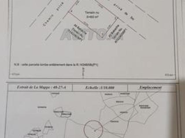 الشجيرات طنجة البالية