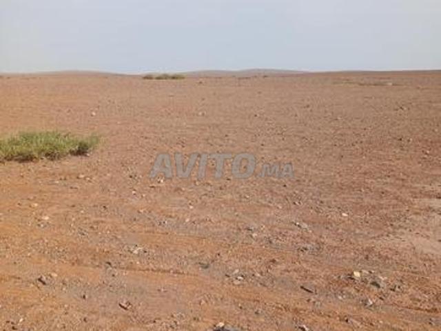 الشماعية. جماعة الطياميم