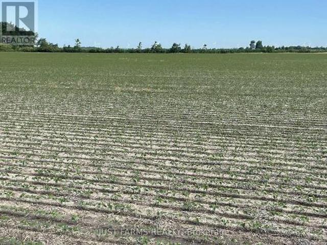 Lt 26&27 Third Concession Line, Chatham Kent Romney, ON, N0P 2P0 farm for sale | Listing ID X13467 | Royal LePage