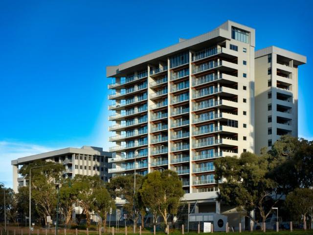 Lumi is Luminescent in Design and Planning