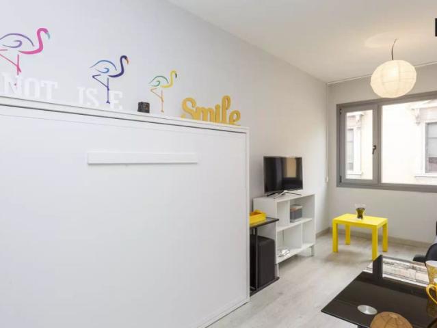Luminous studio apartment for rent in Recoletos