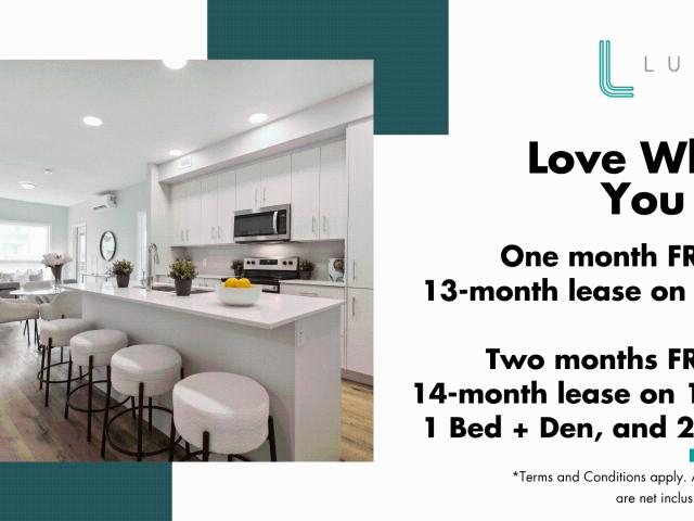Lumina Brilliant Apartment for Rent