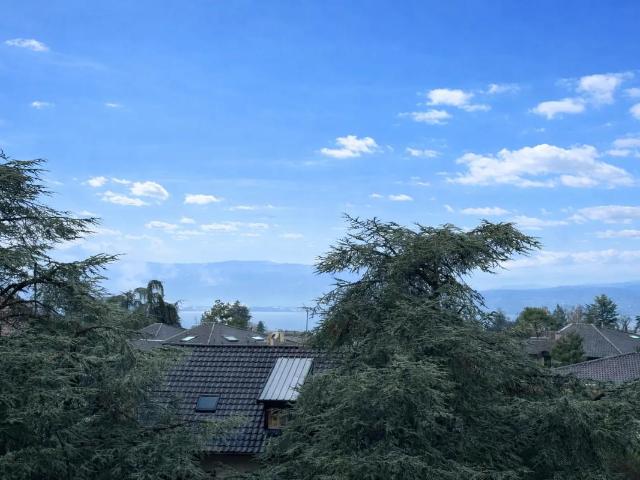 Lumineux T3 avec grande terrasse à Thonon