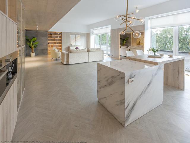 LUMINEUX T4 + DEUX TERRASSES