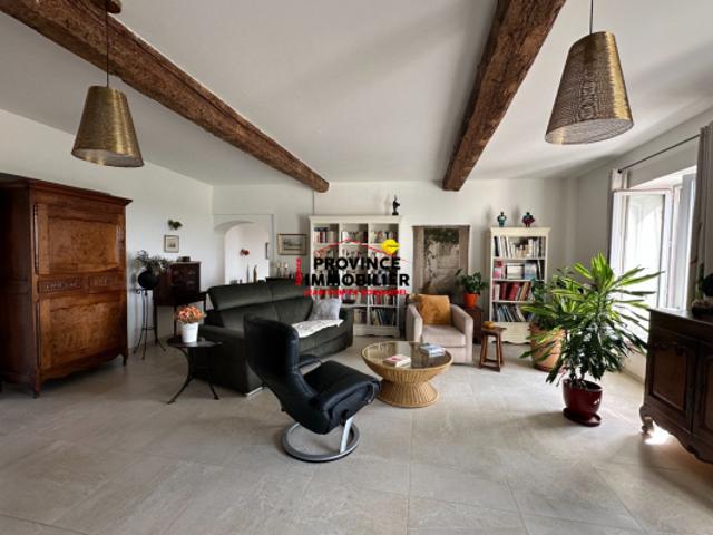 Lumineux Appartement, coeur de village