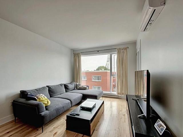 Lumineux condo meublé tout inclus à Rosemont!