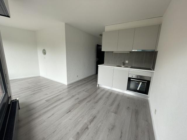 Lumineux studio | dreamo. Ch