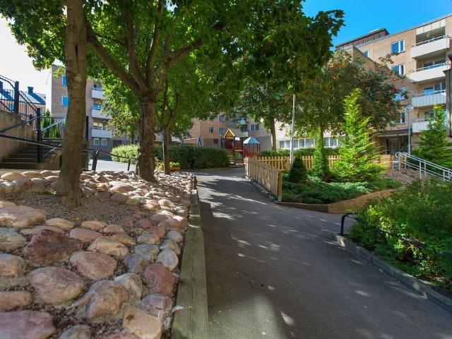 Luntgatan 24