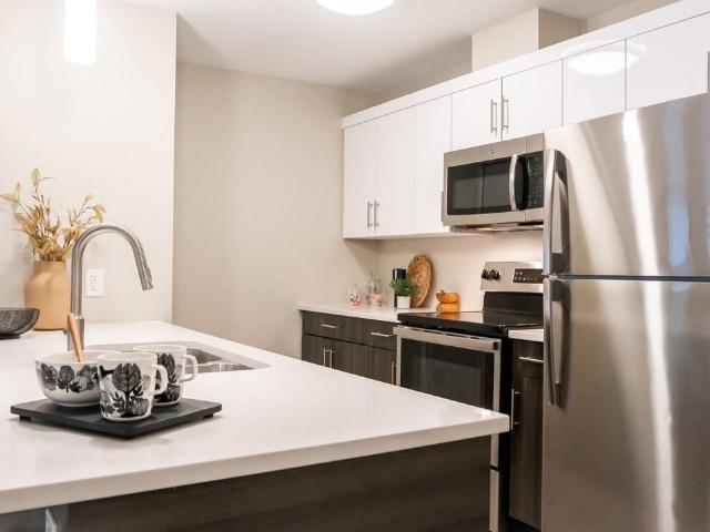 Luna at Aurora 1 Bedroom Apartment for Rent at 100 Lyra Gate, Winnipeg, MB R2V 5C5