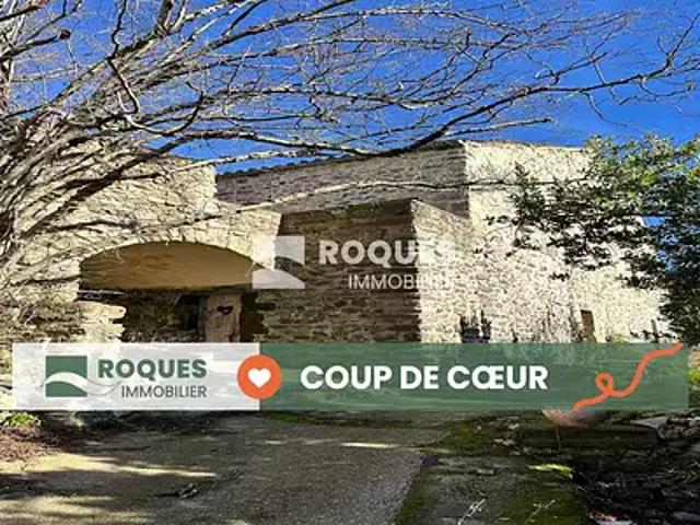 Lunas 34650 Achat / Vente maison 10 pièces t10