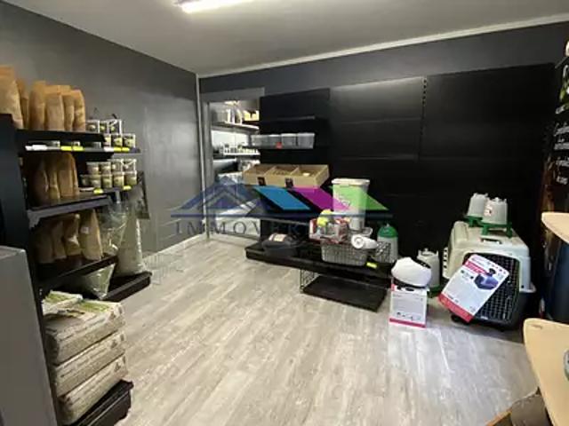 Lunéville 54300 Achat / Vente divers