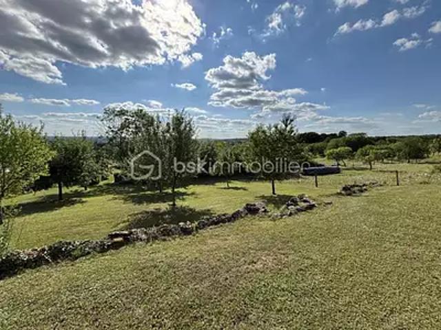 Lunéville 54300 Achat / Vente maison 8 pièces t8 terrasse cave