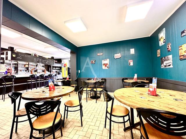 Lunéville Vente Immeuble 54