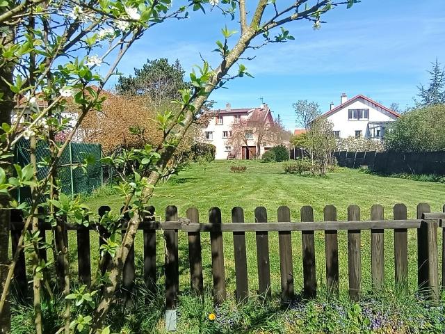 Lunéville Vente Maison 54
