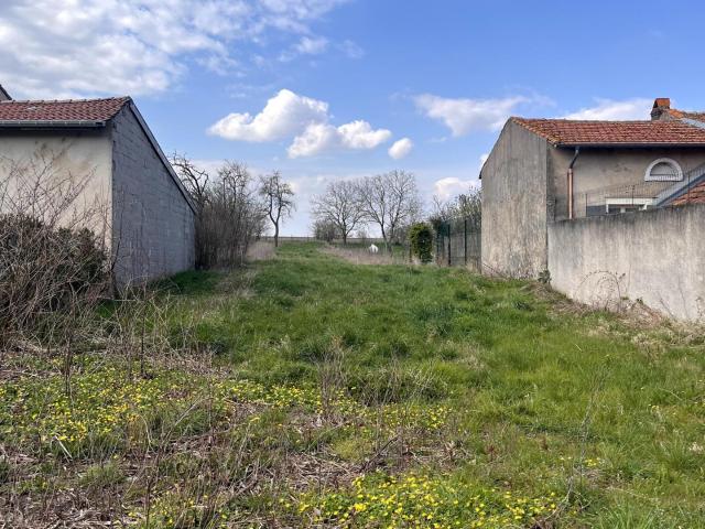 Lunéville Vente Terrain 54