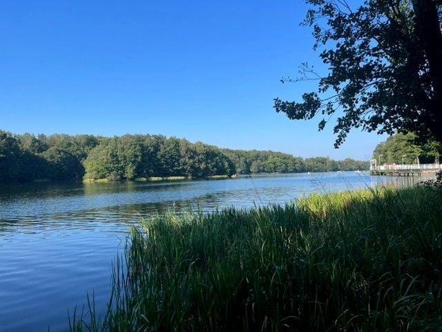 Lubczykowa 999 m², Czapielsk