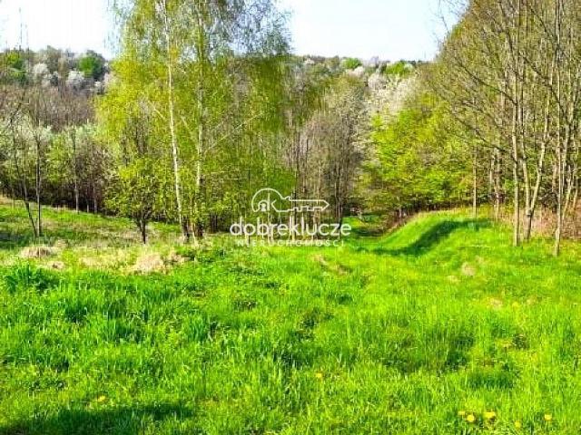 Lubenia, 11 600 m2