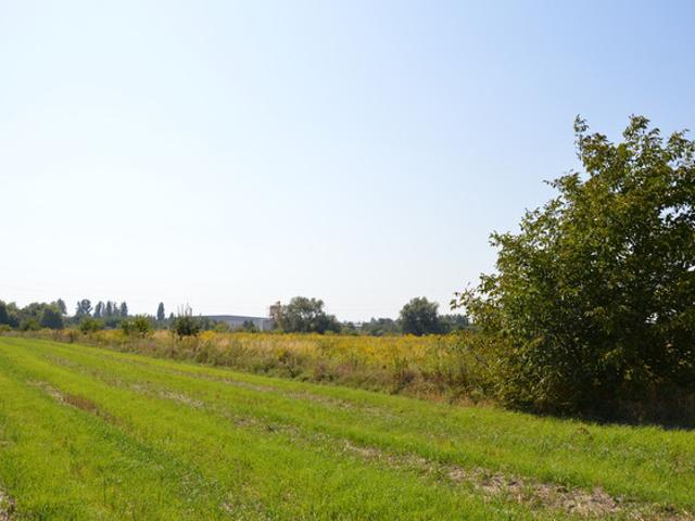 Lublin, Hajdów Zadębie