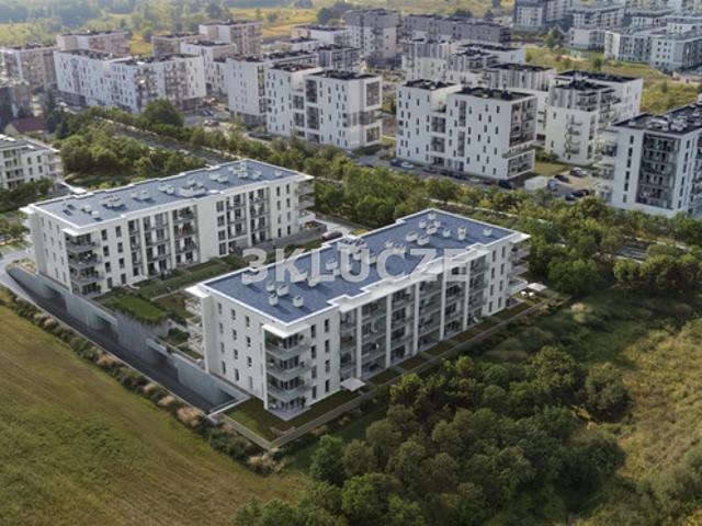 Lublin M. Lublin, Sławin, Botanik