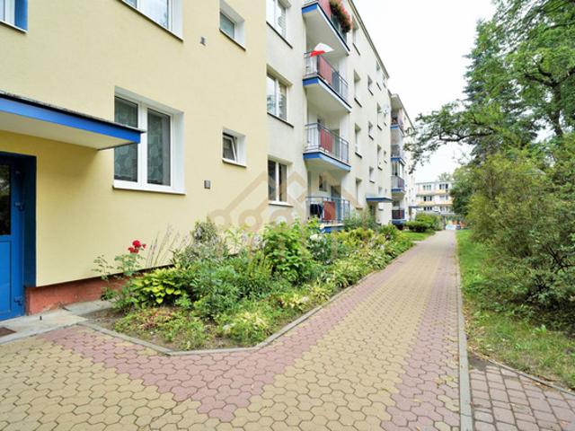 Lublin, Rury, Grażyny
