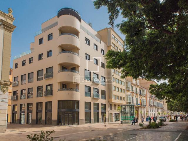 Lucas Fox, la empresa líder absoluta en la venta de inmueble. 159m² Málaga