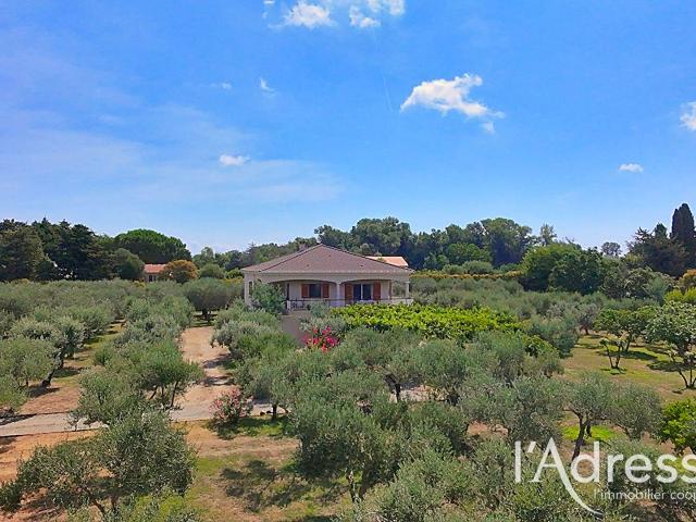 Lucciana Vente Maison 20
