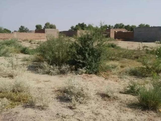Lucky Marwat Lakki Marwat ID 36576