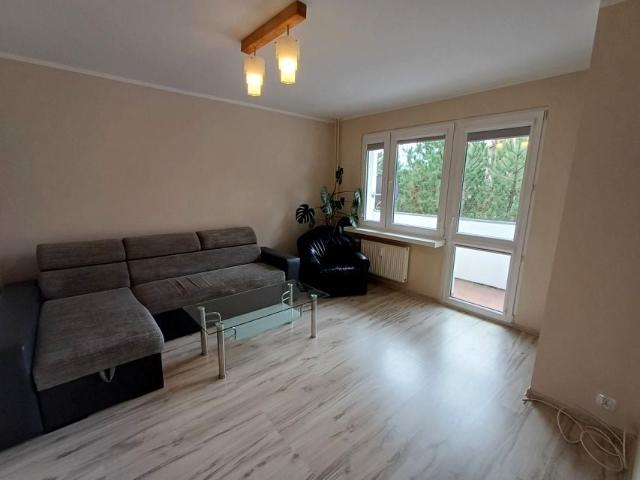 Ludwika Brożka 50,10 m², Cieszyn