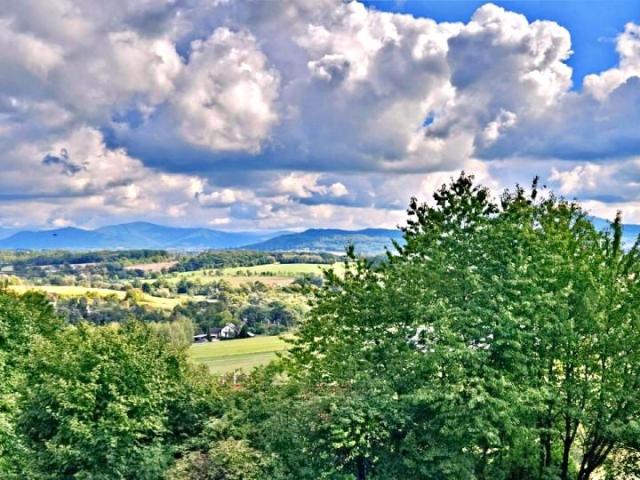 Ludwika Brożka 61,70 m², Cieszyn