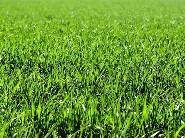 Ludiano – leicht zugängliches Land