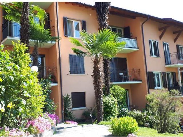Lugano, affitto 1.5 locali