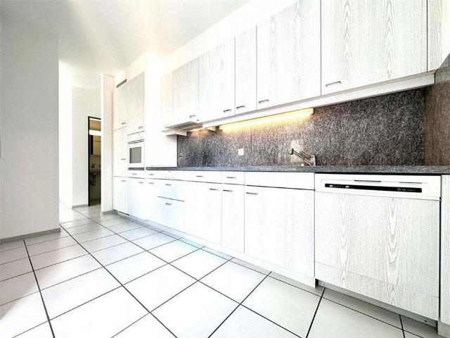 Lugano bright and spacious 2.5 room apartment in the lake area