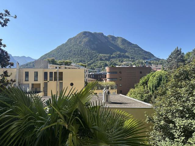 LUGANO ZENTRUM Elegante 10,5 Zimmer Wohnung mit Garten
