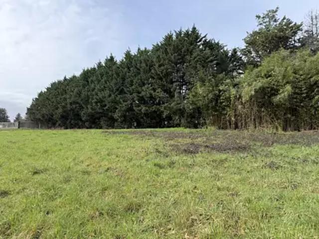 Lugon et l'Ile du Carnay 33240 Achat / Vente terrain